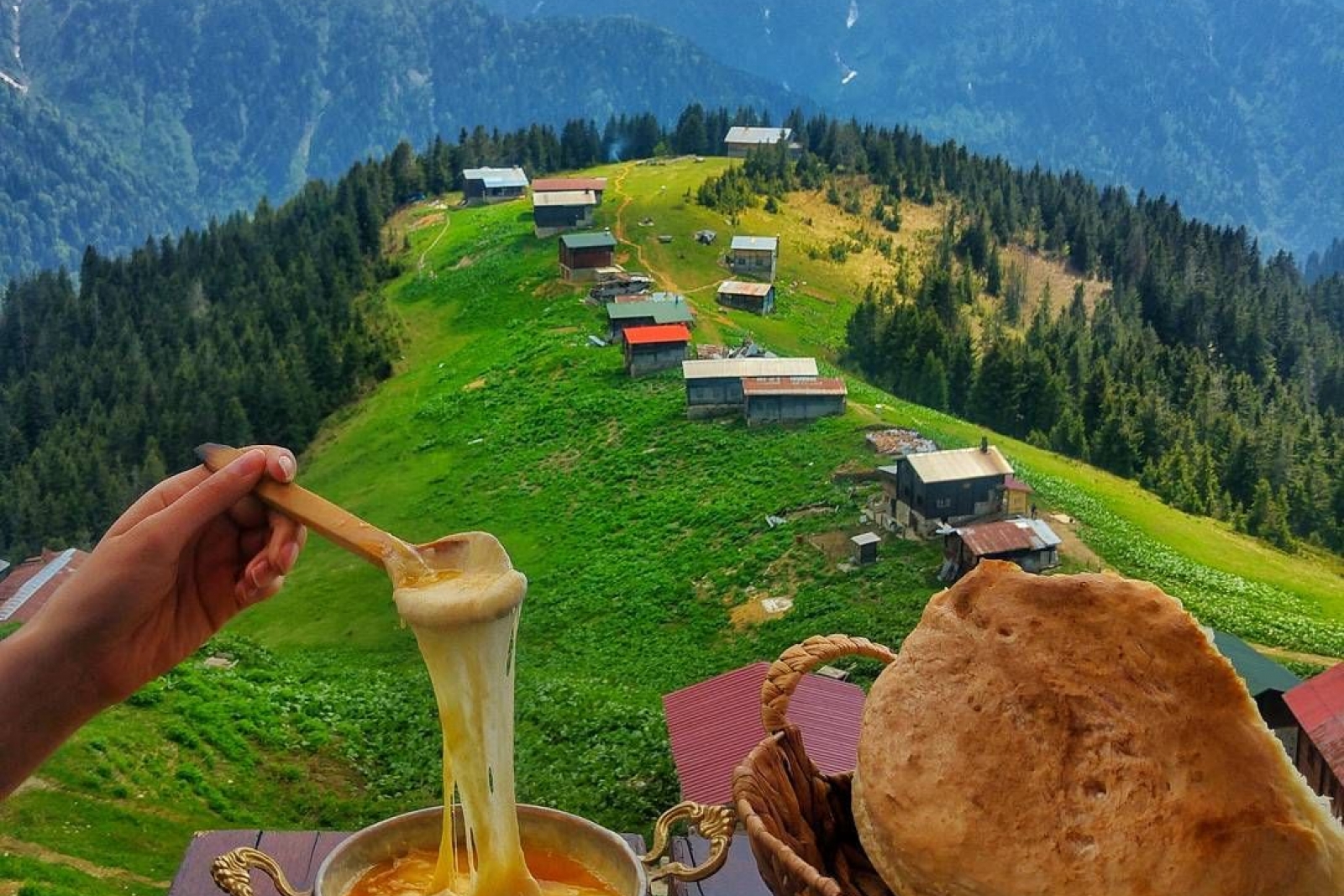 Yakındaki Aktiviteler